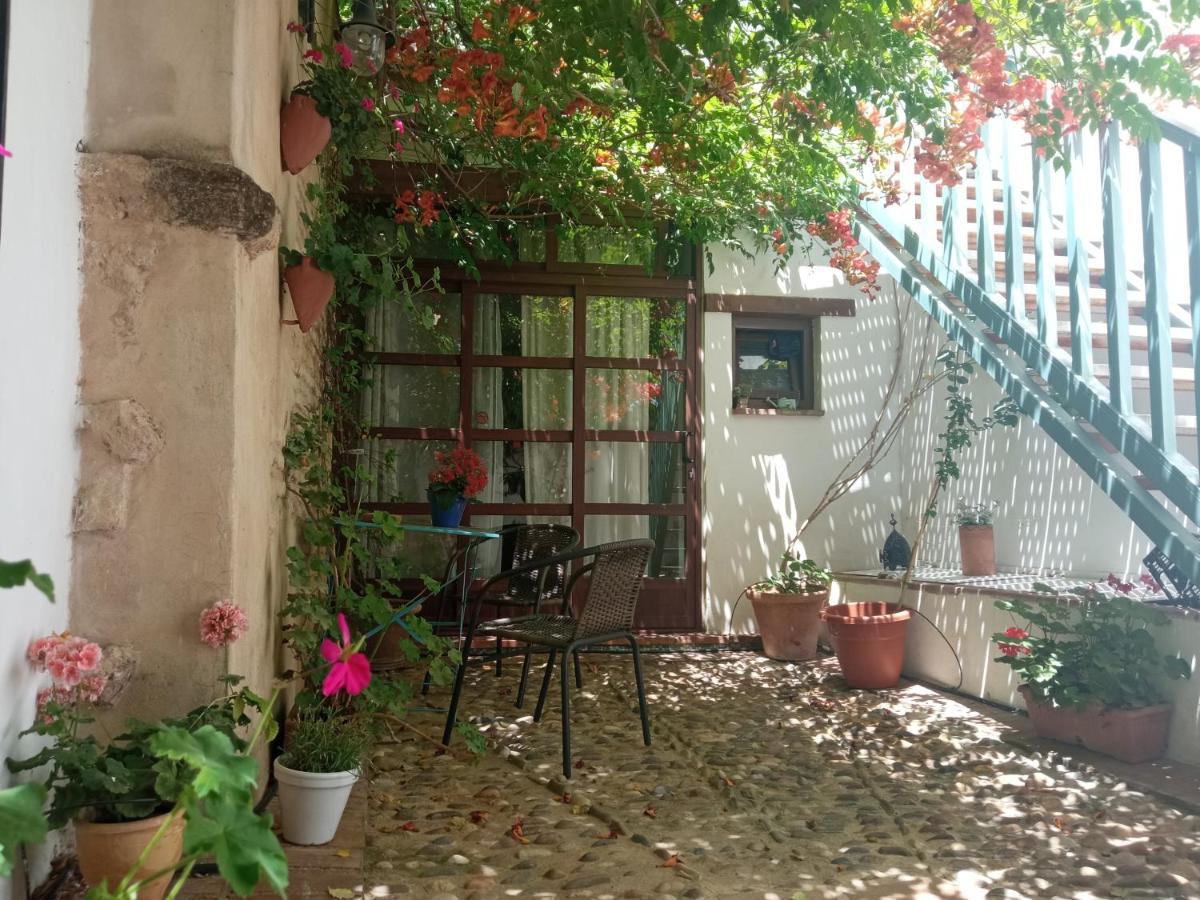 Patio Del Limonero Apartment Cordoba Ngoại thất bức ảnh