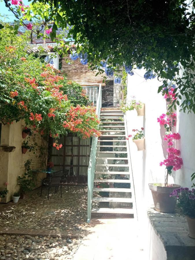 Patio Del Limonero Apartment Cordoba Ngoại thất bức ảnh
