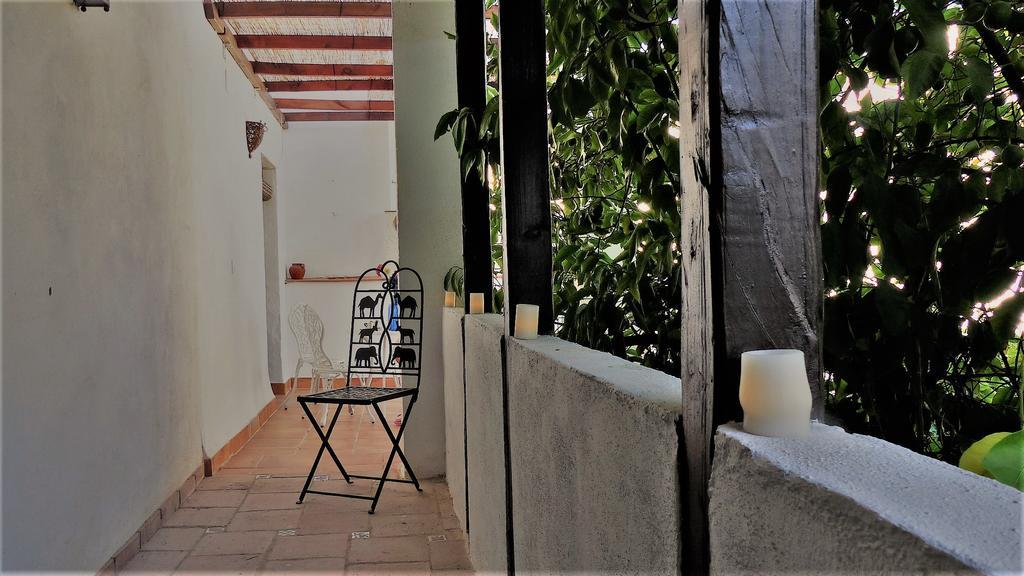 Patio Del Limonero Apartment Cordoba Ngoại thất bức ảnh