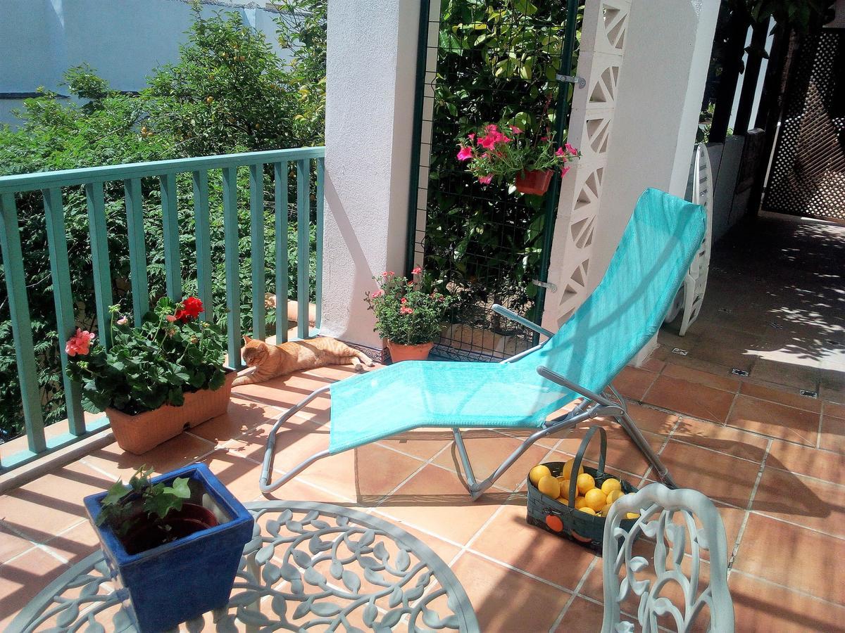 Patio Del Limonero Apartment Cordoba Ngoại thất bức ảnh